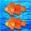 Moule silicone poisson